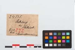Etikett zu Bernsteinring (NHMW-PRAE-024515)
